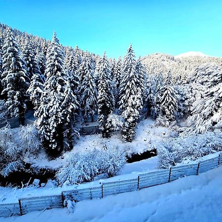 Duplex 4/6P Le Familial Apartment Laveissiere Luaran gambar