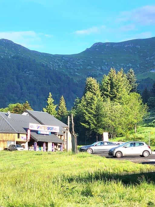 Duplex 4/6P Le Familial Apartment Laveissiere Luaran gambar