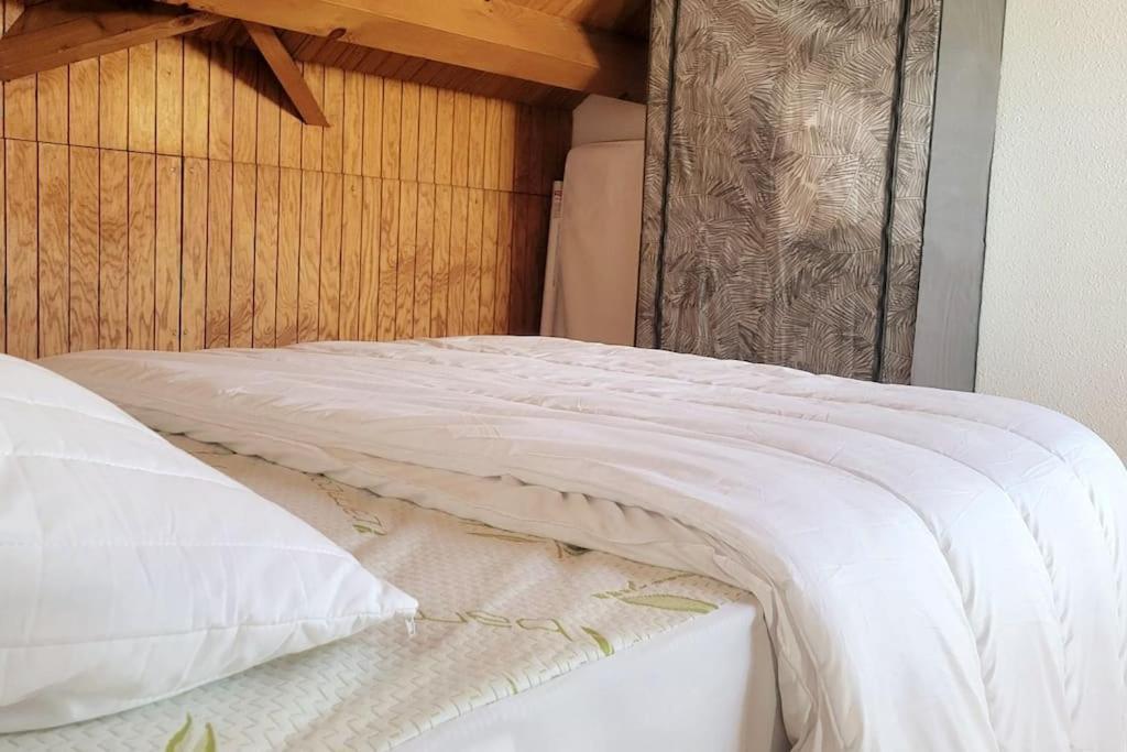 Duplex 4/6P Le Familial Apartment Laveissiere Luaran gambar